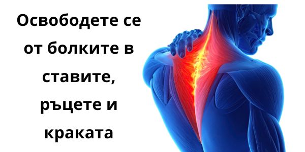 Nautubone-1.jpg